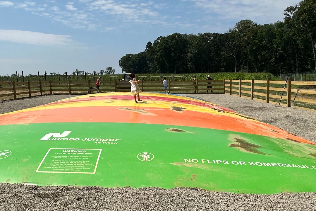 Twin Pond Farm gallery photo 4