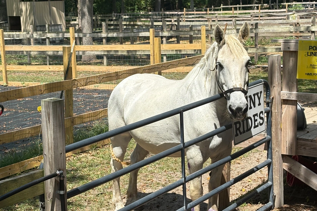 Twin Pond Farm gallery photo 8