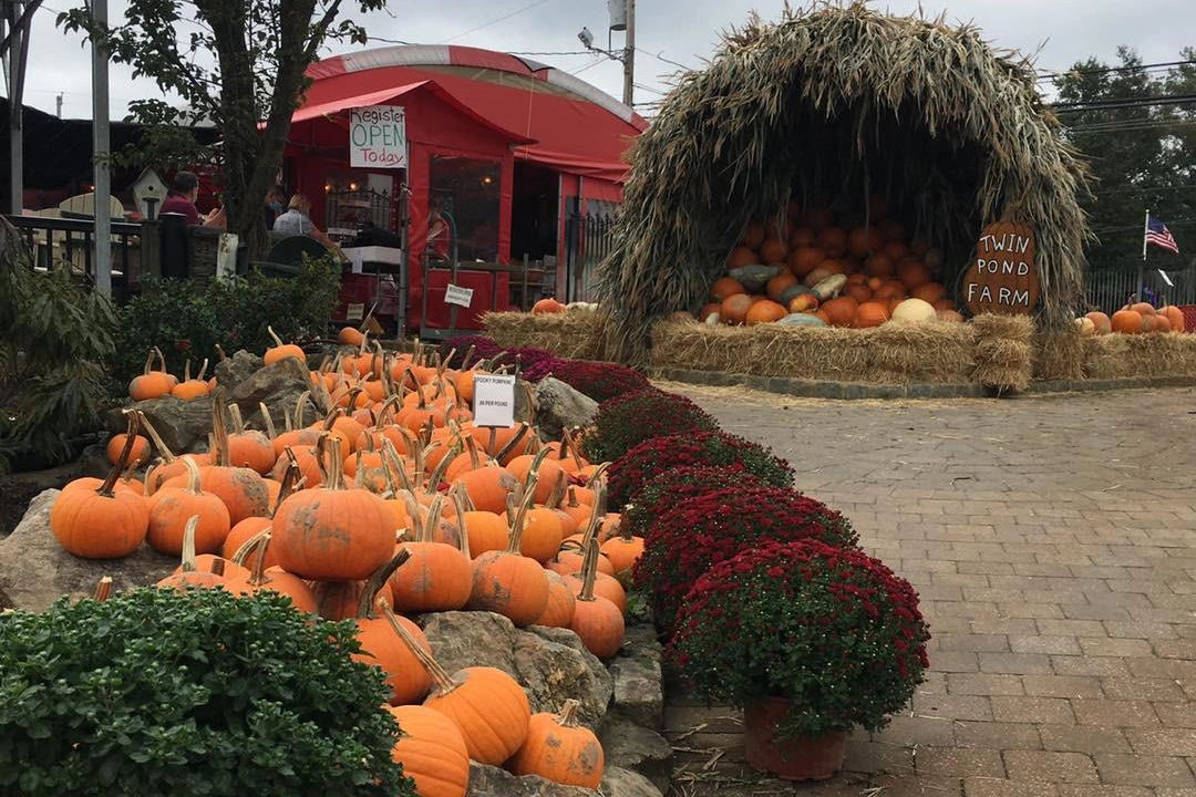 Twin Pond Farm gallery photo 9