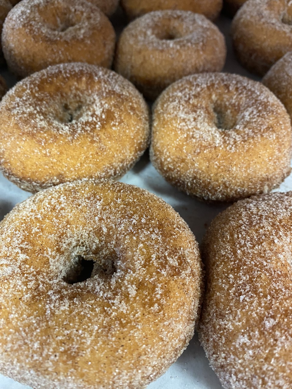 Apple Cider Donuts – Cinnamon Sugar